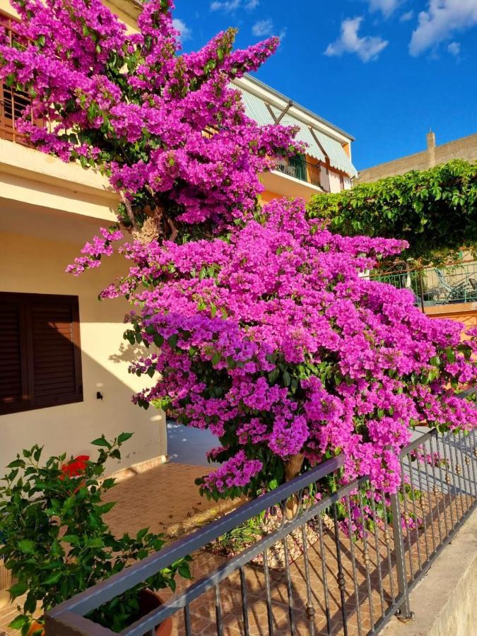 Apartman Ruza بودغورا المظهر الخارجي الصورة